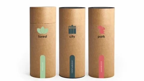 Brown cylindrical paper packaging labeled forest, city, and park