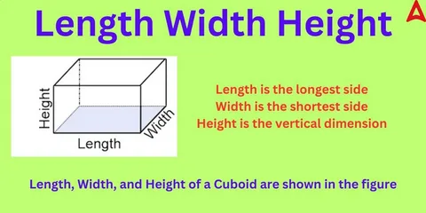 Explanation of length, width, and height on a cuboid with definitions