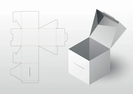 Flat packaging dieline alongside a 3D assembled box visual