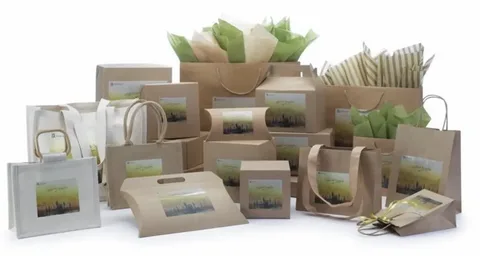 Collection of paper bags, boxes, and tissue wraps for sustainable branding