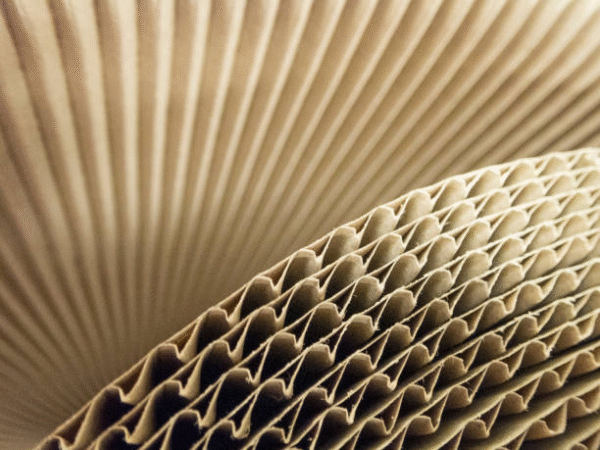 Corrugated cardboard texture showing fluting pattern in carton packaging material.