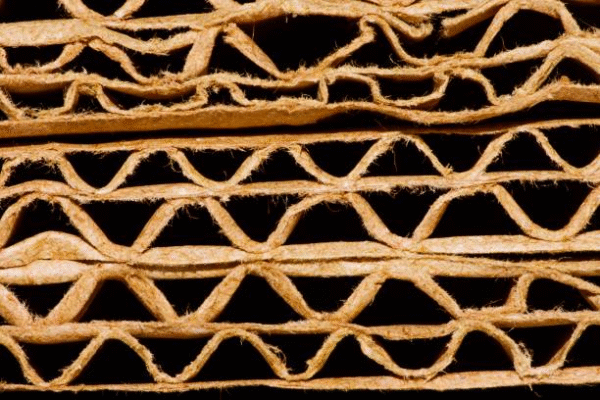 Corrugated board layers showing fiber and flute structure