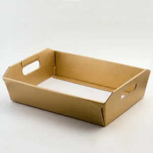 Eco-friendly kraft paper tray carton used for lightweight packaging solutions.