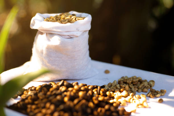 Coffee beans in cloth packaging showing sustainable and cost efficient options