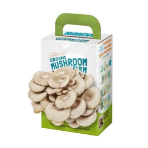 Custom Printed Fresh Mushroom Packaging Boxes Wholesale