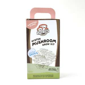 Custom Printed Mushroom Grow Kit Boxes Wholesale
